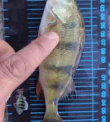 photo prise 51743 par 