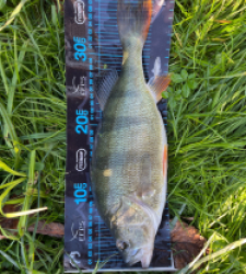 photo prise 51745 par Bara Benjamin