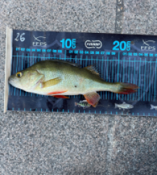 photo prise 51746 par Joris Pougin