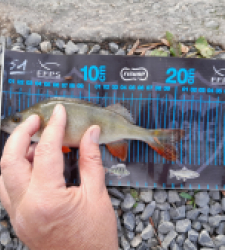 photo prise 51749 par JEAN RENE DENNETIERE