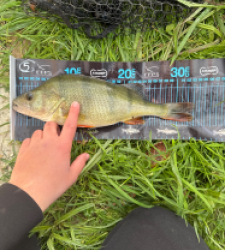 photo prise 51750 par 