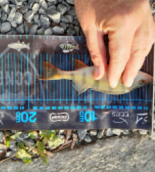 photo prise 51751 par JEAN RENE DENNETIERE