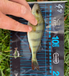 photo prise 51752 par Seb02300