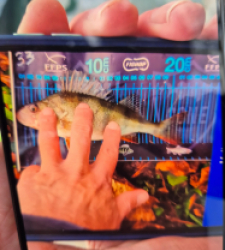 photo prise 51753 par 