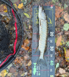 photo prise 51754 par 