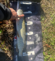 photo prise 51759 par Rimshot12