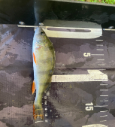 photo prise 51760 par Rimshot12