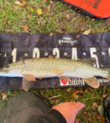 photo prise 51761 par Rimshot12