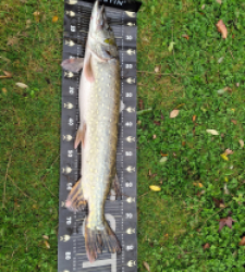 photo prise 51762 par Lamarte12