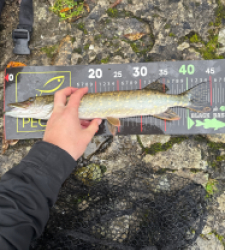 photo prise 51765 par 