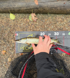 photo prise 51767 par 