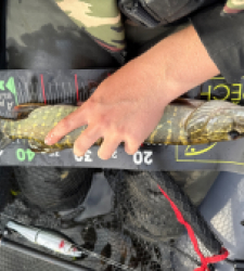 photo prise 51769 par 