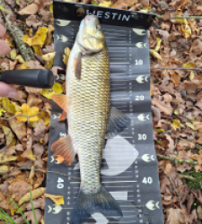 photo prise 51770 par Lamarte12