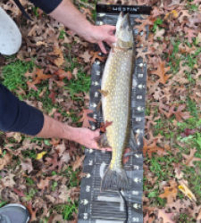 photo prise 51772 par Lamarte12