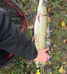 photo prise 51773 par 