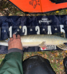 photo prise 51774 par Rimshot12