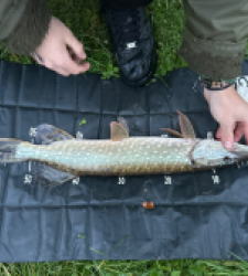 photo prise 51775 par 