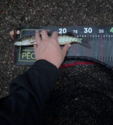 photo prise 51776 par 