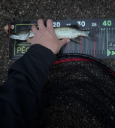 photo prise 51777 par 