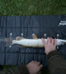 photo prise 51778 par 