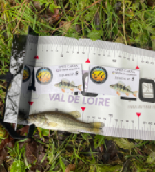 photo prise 51779 par Amandine