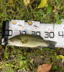 photo prise 51780 par Amandine