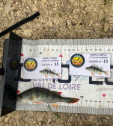 photo prise 51781 par 