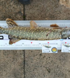 photo prise 51782 par 