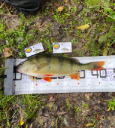 photo prise 51784 par bverger17