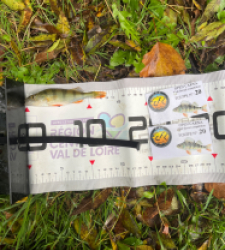 photo prise 51786 par Joris Pougin