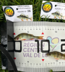 photo prise 51789 par The fisher16