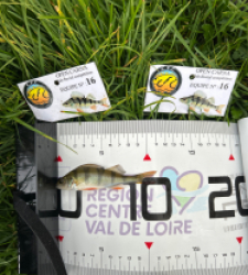 photo prise 51791 par The fisher16