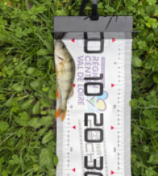 photo prise 51792 par 