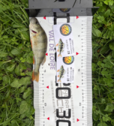 photo prise 51793 par 