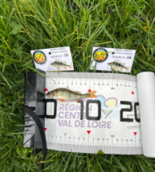 photo prise 51794 par The fisher16