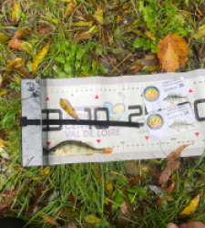 photo prise 51795 par Joris Pougin