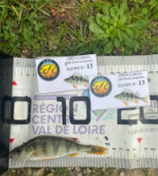 photo prise 51797 par 