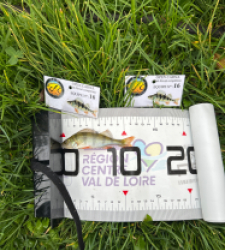 photo prise 51798 par The fisher16