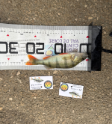 photo prise 51799 par Djy86om 