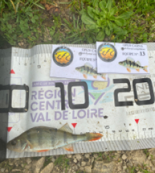 photo prise 51800 par 