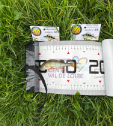 photo prise 51801 par The fisher16