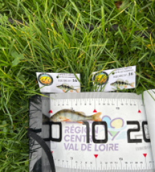 photo prise 51802 par The fisher16