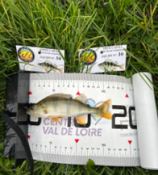 photo prise 51803 par The fisher16