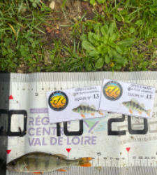 photo prise 51804 par 