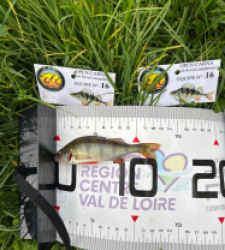 photo prise 51805 par The fisher16