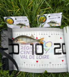 photo prise 51808 par The fisher16