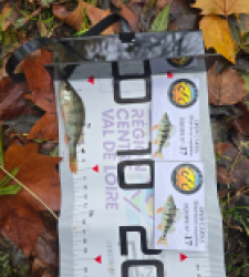 photo prise 51809 par Emmanuel RD