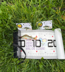 photo prise 51811 par The fisher16