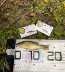 photo prise 51814 par bverger17