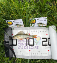 photo prise 51815 par The fisher16